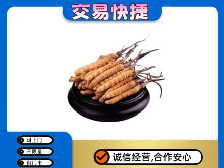 十堰竹溪县回收冬虫夏草多少钱每克